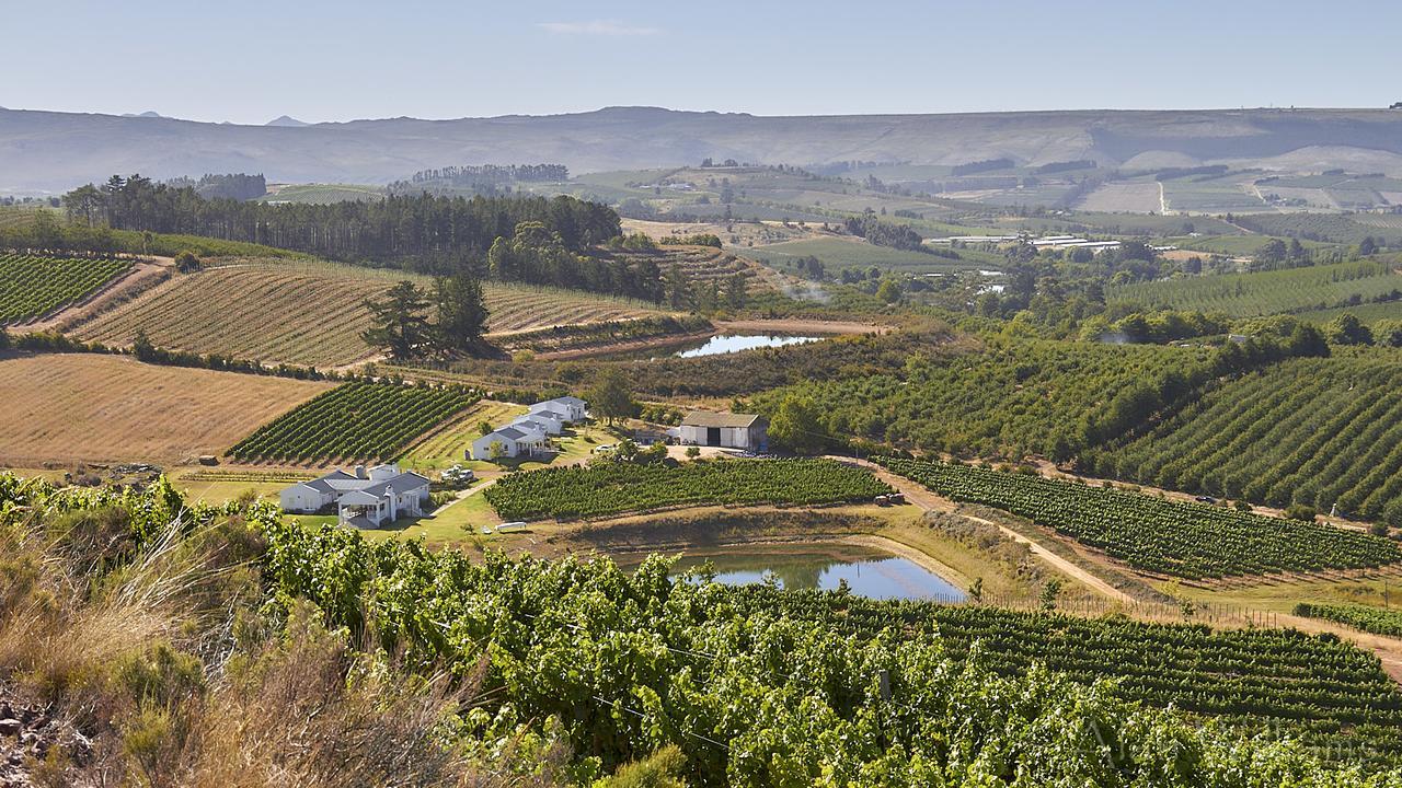 Paul Wallace Wines & Cottages Elgin  Exterior photo